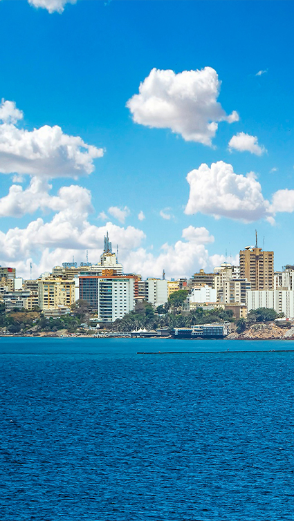 Développement international